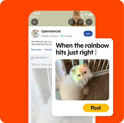 HOMEPAGE GRAPHICS _ Post@2x